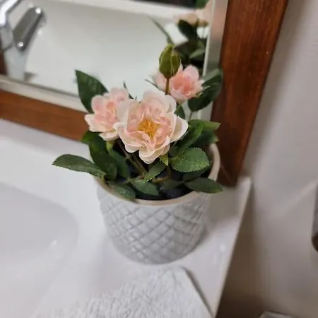 Apartment Vitajte, Vas Domov Vas Caka *